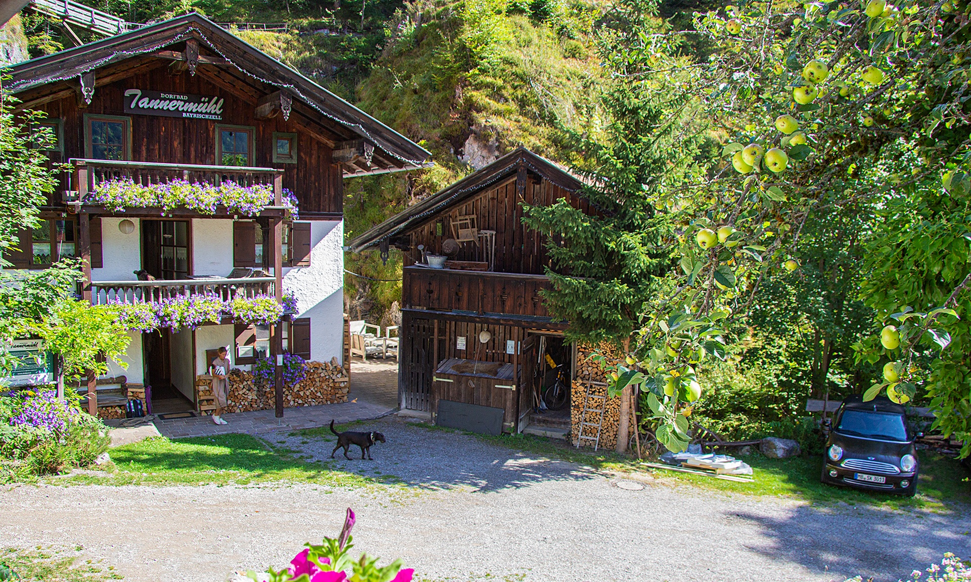 Die alte Tannermühle